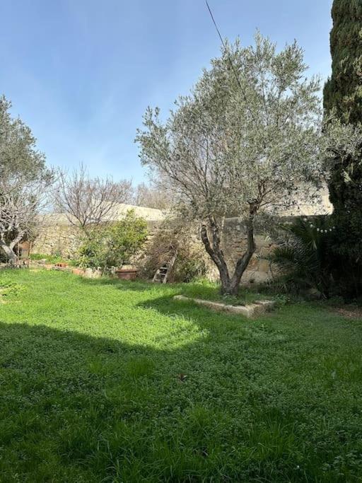 Appartement Joli Mas Duplex Piscine Parking Prive Mudaison