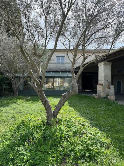 Appartement Joli Mas Duplex Piscine Parking Prive Mudaison